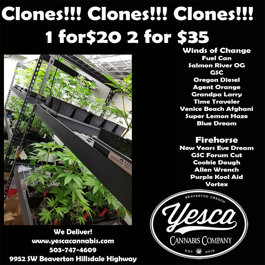 Grow Your Own! Get Clones photo