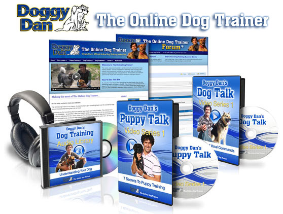 The Online Dog Trainer photo