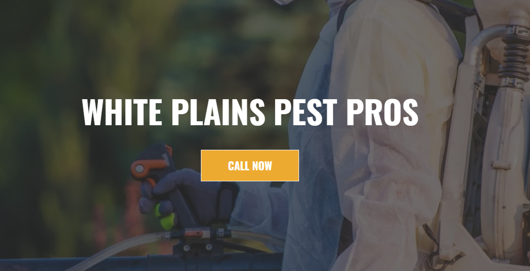 White Plains Pest Pros photo